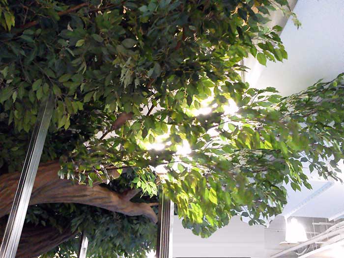 泡沫仿真樹安裝全過程