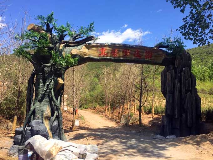 仿真樹中的無冕之王受追捧的仿真樹大門