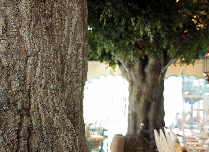 山西大同室內仿真樹制作－北京淡水河谷仿真樹廠家