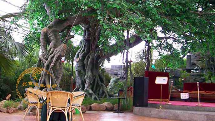 廣西南寧仿真榕樹設計制作－北京淡水河谷仿真榕樹制作