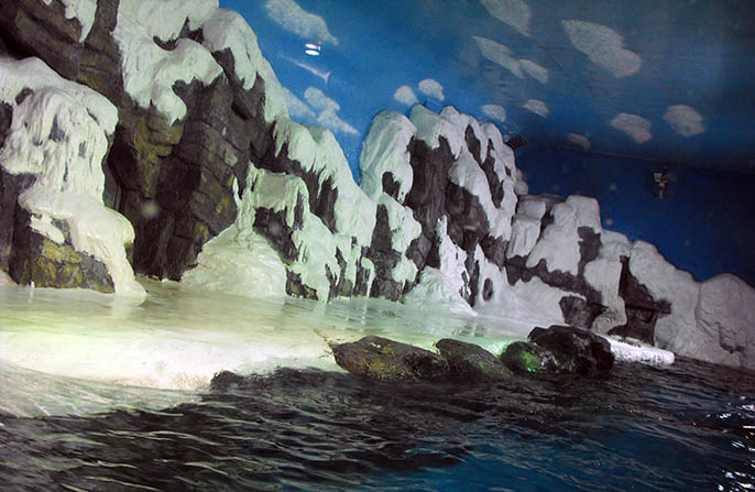 仿真雪山哪個廠家制作的好，有比較經典的案列嗎