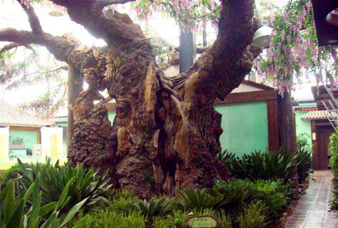 如何制作出高端大氣仿真度高的仿真樹