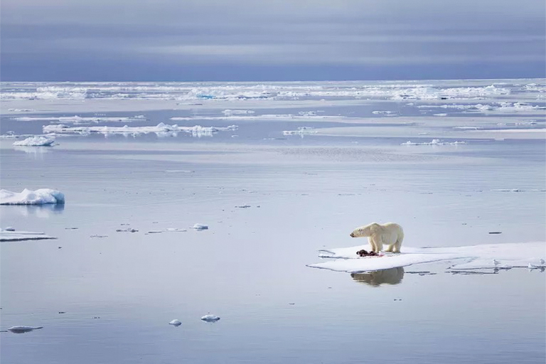 全球變暖有什么好處？即使是佳方案缺點(diǎn)也勝過任何可能的優(yōu)點(diǎn)