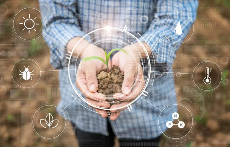 生態系統中的生物因素與非生物因素-組成整個生態系統的兩半
