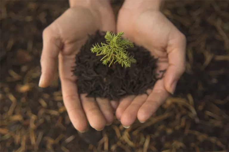 如何慶祝世界地球日-地球日活動的想法