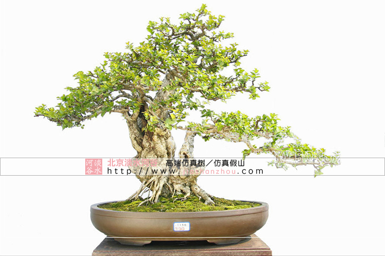 關于盆景的基礎知識 仿真樹廠家有話要說