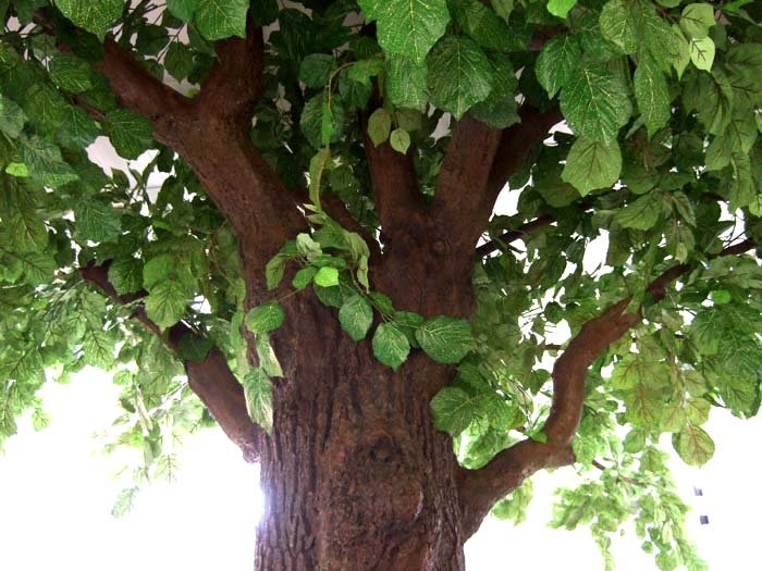 各種仿真樹來開會從顏色到樣式多種