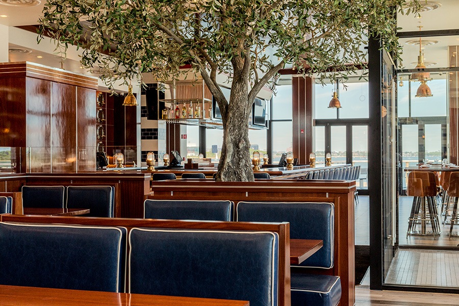 室內(nèi)仿真假樹廠家做到了國外