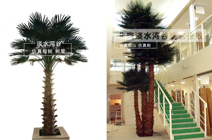 仿真棕櫚樹.jpg 仿真棕櫚樹