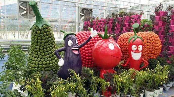 農業嘉年華制作