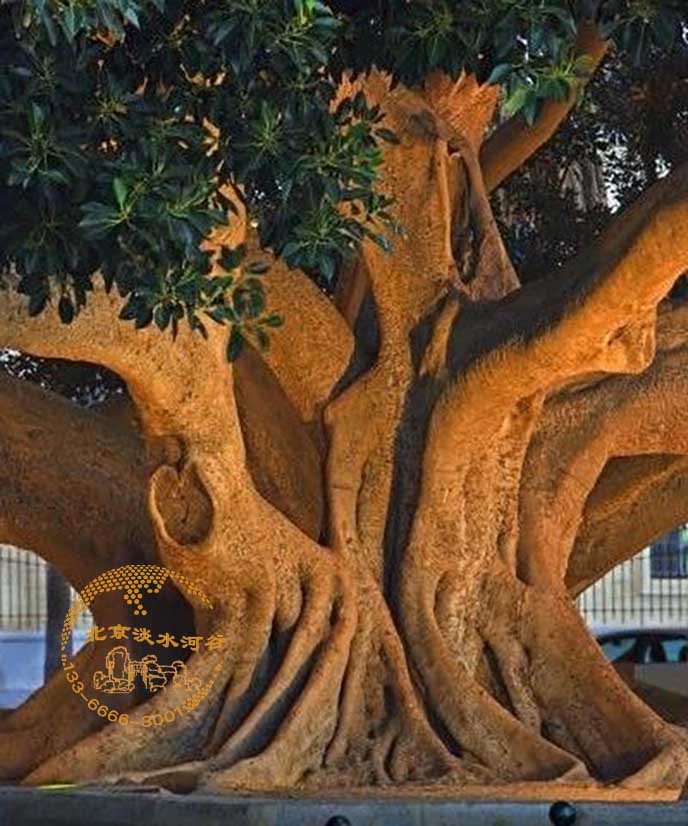 仿真榕樹.jpg 仿真榕樹