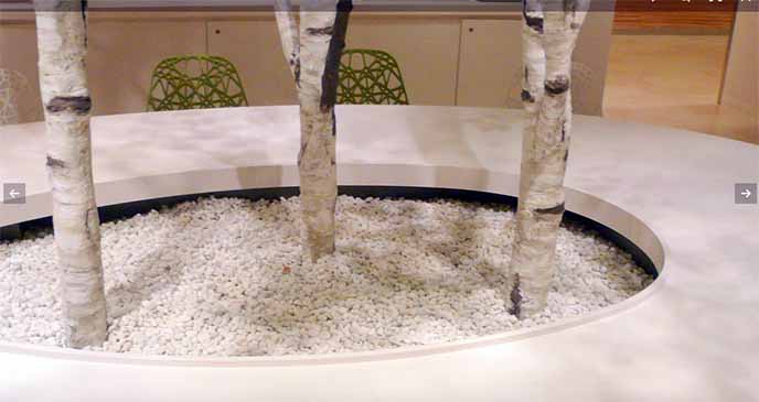 仿真白樺樹.jpg 仿真白樺樹