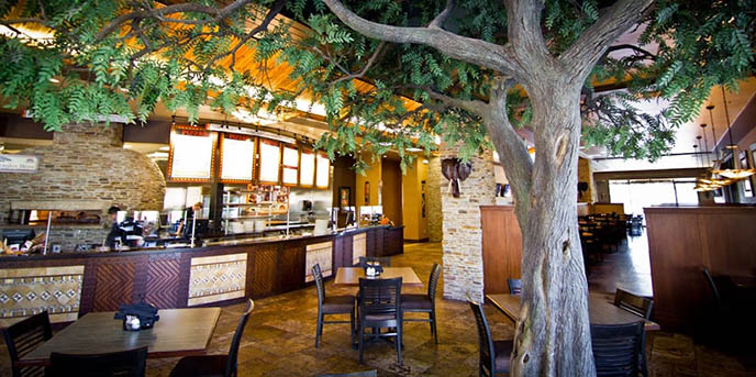 仿真榕樹制作.jpg 仿真榕樹制作