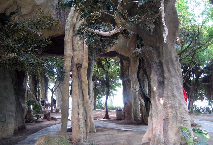 仿真榕樹.jpg 仿真榕樹