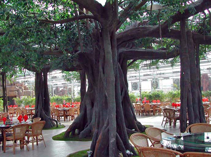 仿真榕樹.jpg 仿真榕樹