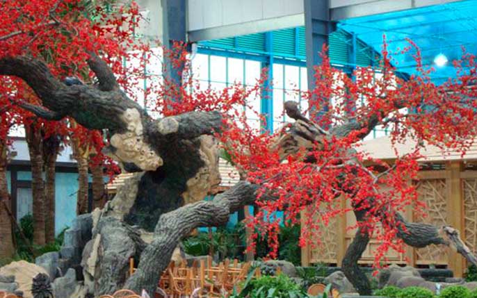 假樹廠家.jpeg 假樹廠家