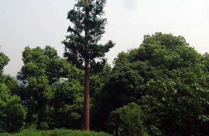 仿真信號(hào)塔樹(shù).jpg 仿真信號(hào)塔樹(shù)