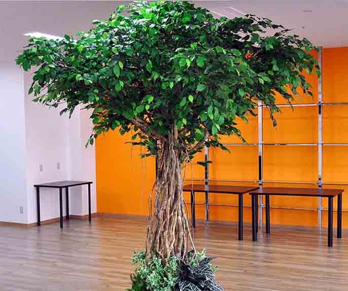 仿真樹.jpg 仿真樹