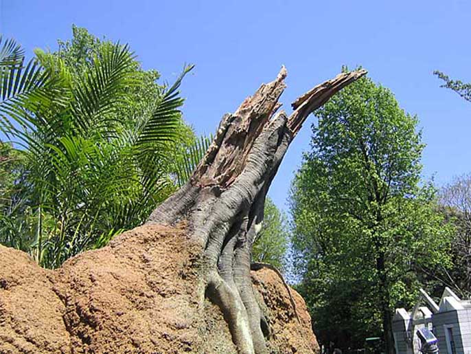 迪士尼仿木.jpg 迪士尼仿木