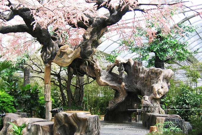 仿真樹.jpg 仿真樹