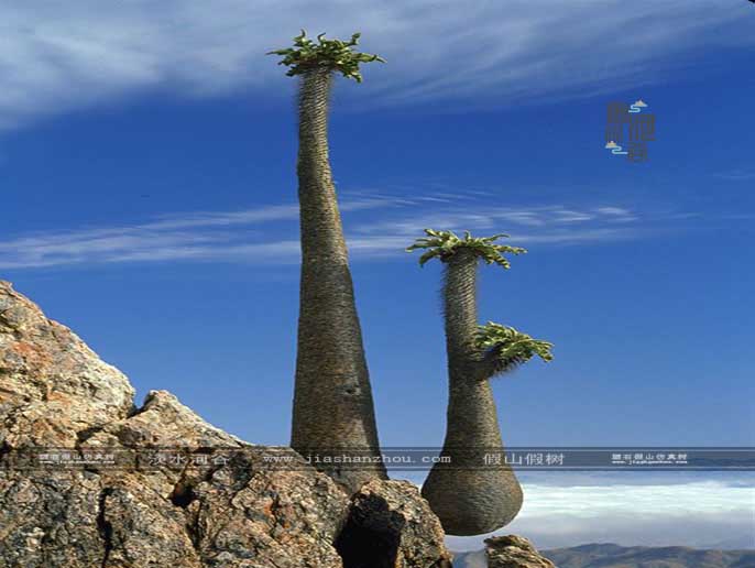 仿真樹(shù).jpg 仿真樹(shù)