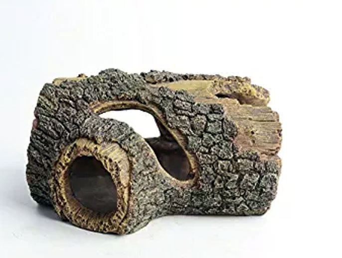 人造珊瑚礁及海洋館環境.jpg 人造珊瑚礁及海洋館環境