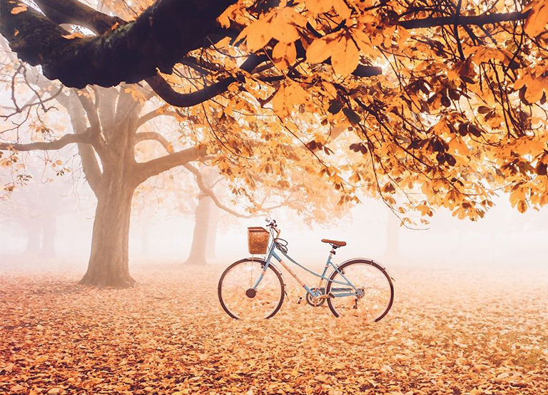 仿真樹.jpg 仿真樹