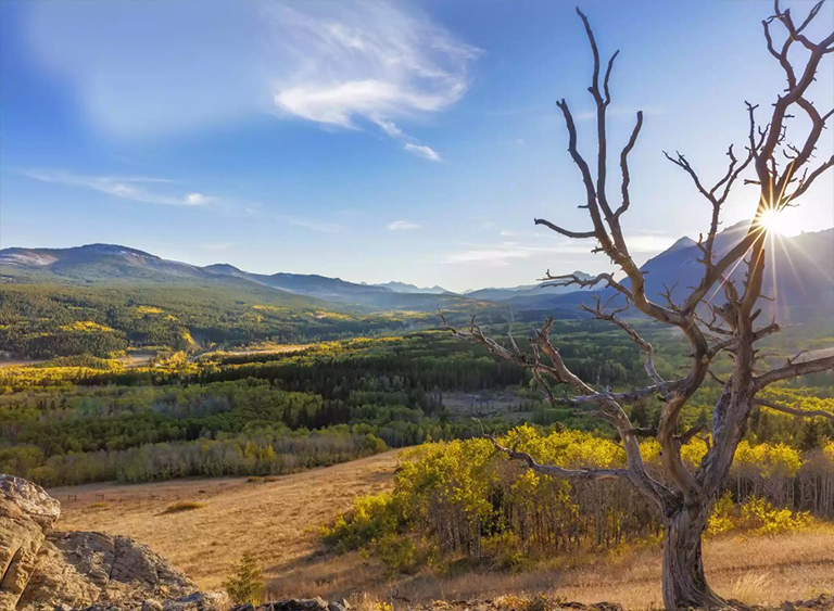 蒙大拿州的劉易斯和克拉克國家森林公園.jpg 蒙大拿州的劉易斯和克拉克國家森林公園