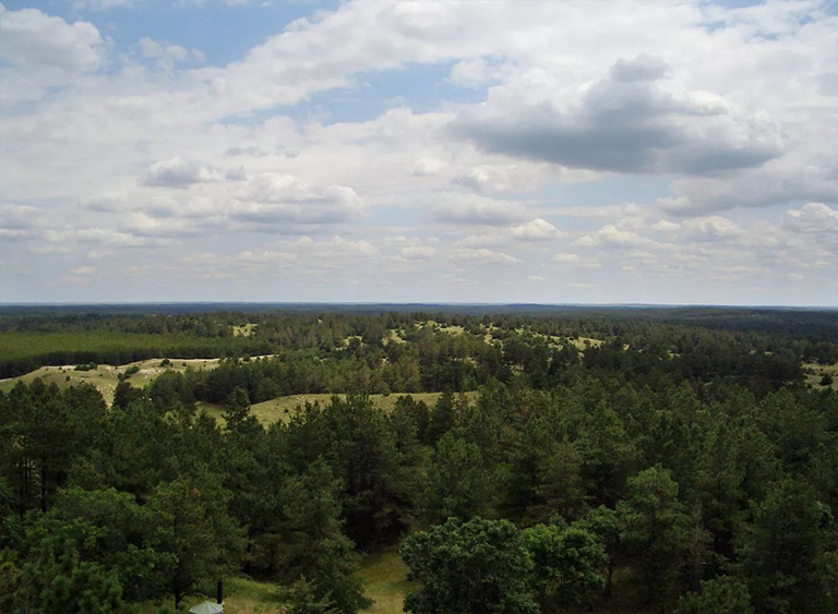 內(nèi)布拉斯加州國家森林.jpg 內(nèi)布拉斯加州國家森林