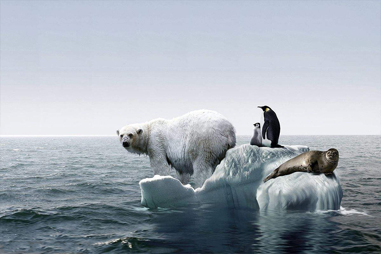 全球變暖.jpg 全球變暖