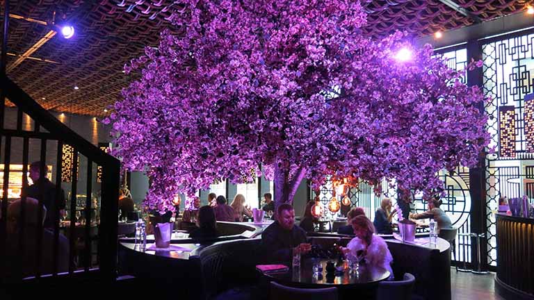 咖啡館假樹(shù)