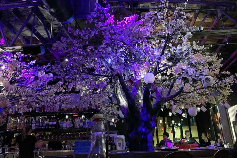 咖啡館假樹(shù)