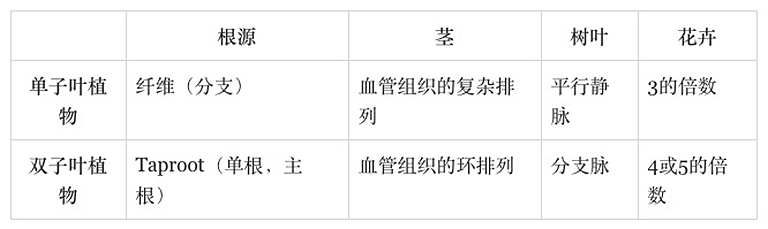 被子植物.jpg 被子植物