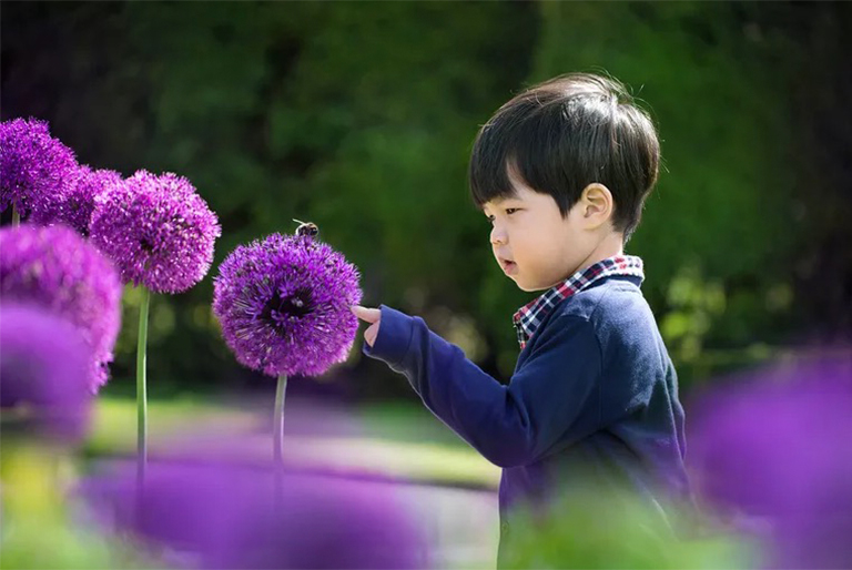 有益的花園蟲子.jpg 有益的花園蟲子