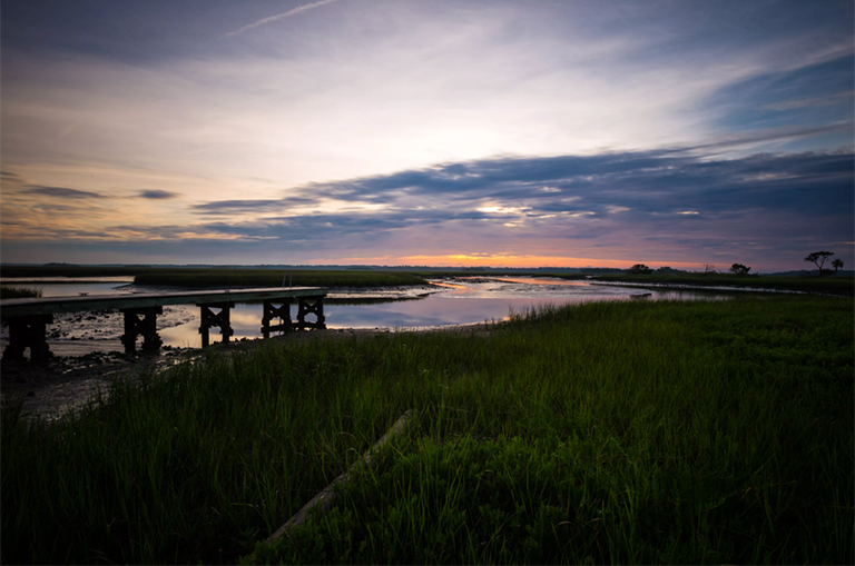 在佛羅里達州杰克遜維爾的雪松點美麗的日出