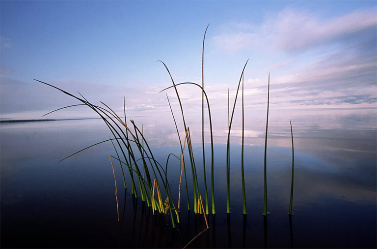 明尼蘇達州北部紅湖上游，夏末