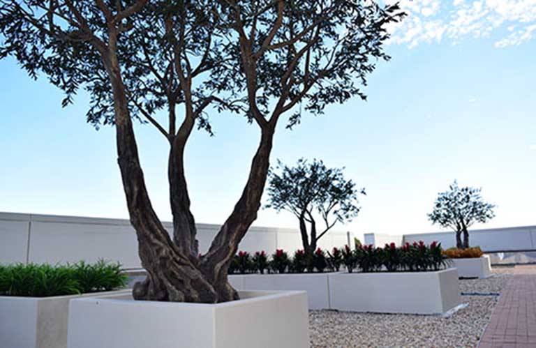 仿真樹設計制作