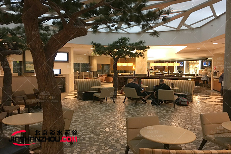 室內(nèi)景觀樹.jpg 室內(nèi)景觀樹