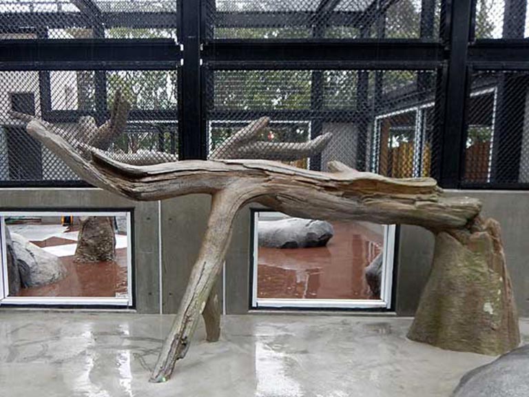 水泥做假樹根.jpg 水泥做假樹根