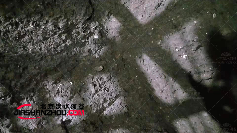 兒童鹽療房.jpg 兒童鹽療房