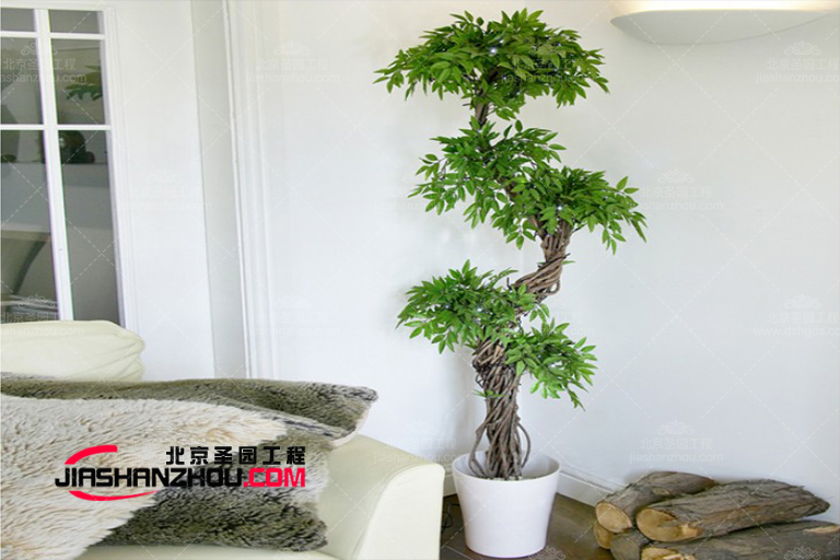 仿真樹(shù).jpg 仿真樹(shù)