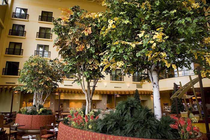 仿真樹.jpg 仿真樹.jpg